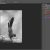 How To Enhance Black And White Photos Using Adjustment Layers In Photoshop