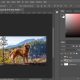 Simple Guide To Using The History Panel In Photoshop For Edits